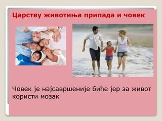 Царству животиња припада и човек
Човек је најсавршеније биће јер за живот
користи мозак
 