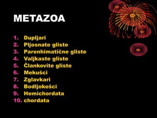 METAZOA
1.    Dupljari
2.    Pljosnate gliste
3.    Parenhimatične gliste
4.    Valjkaste gliste
5.    Člankovite gliste
6.    Mekušci
7.    Zglavkari
8.    Bodljokošci
9.    Hemichordata
10.   chordata
 
