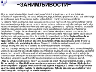 ~ЗАНИМЉИВОСТИ~ Alge su najprimitivnije biljke, ima ih čak i jednoćelijskih koje plivaju u vodi, ima ih takođe, višećelijskih koje se hvataju na staklo akvarijuma, bilje, kamenje, grejače i dr. Kao i sve biljke i alge za održavanje svog života koriste svetlo, ugljendioksid i hranljive mineralne materije.  U vodama naših akvarijuma, koje su zasićene mnoštvom rastvorenih mineralnih materija veoma lako se stvaraju alge koje za svoj razvoj u takvim vodama nailaze na najbolju podlogu. Inače, alge ribama ne smetaju i one kao i sve ostale biljke upijaju ugljendioksid i ispuštaju kiseonik, ali postoje najsitnije, jednoćelijske alge koje su odlična hrana jednoćelijskim životinjama, infuzorijama (trepljarima). Trepljari škode ribama jer se u zamućenom akvarijumu veoma brzo namnože u neizmerno velikom broju i troše velike količine kiseonika koji tako nedostaje ribama koje u takvim slučajevima isplivavaju na površinu da bi došle do kiseonika iz vazduha . Kada uočimo da se akvarijum zamućuje, odmah treba prekontrolisati prečistač i ako postoje smetnje u njegovom radu treba ih odmah otkloniti. Istovremeno treba iz akvarijuma odliti 1/4 do 1/3 vode i naliti svežu vodu istog kvaliteta.  Zbog ovih poteškoća svakodnevno treba kontrolisati uređaje akvarijuma kako ne bi dolazilo do poremećaja biološke ravnoteže.  Već kod uređenja akvarijuma treba planirati da ga zasadimo što gušće i sa što više različitog bilja, ukoliko ne postupimo tako i bude zasađen sa malo bilja akvarijum će se po naseljavanju sa ribama veoma brzo zamutiti pošto će u vodi biti viška otpadnih materija koje sadrže azotna jedinjenja. Gusto zasađen akvarijum ne dozvoljava da se voda akvarijuma zamuti upijajući otpadne materije. Tako biljke upijanjem otpadnih materija njih uklanjaju i ne dozvoljavaju vodi da se zamuti.  Alge su ustvari akvarijumski korov. Većina algi ne škodi ribama i biljkama, škode u toliko što se hvataju na lišće i biljkama smanjuju sposobnost asimilacije. Listove biljaka jedino oštećuju puževi i biljojede ribe koje se hrane algama. Najgore je u tome što se alge veoma uporno, pored ostalog, hvataju na stakla akvarijuma. Tako je ponekad veoma teško videti ribe kroz gustu naslagu algi na staklu akvarijuma. 