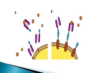 Car T cell | PPSX