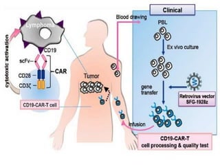Car T cell | PPSX