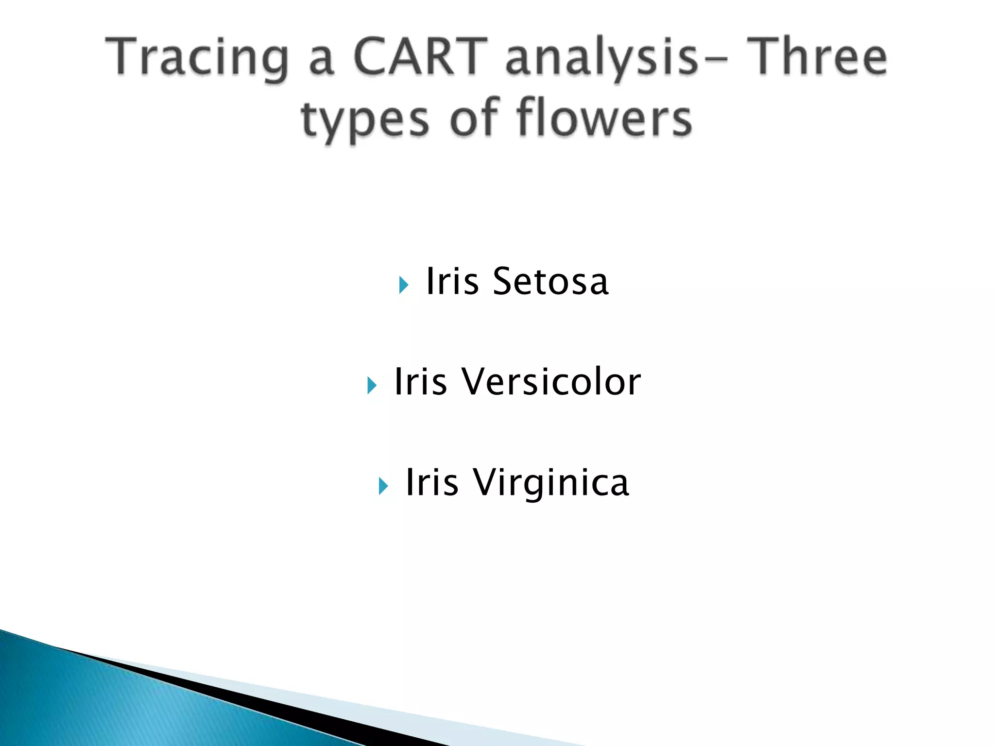    Iris Setosa

   Iris Versicolor

   Iris Virginica
 