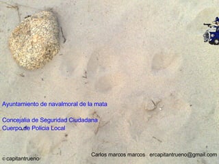 Ayuntamiento de navalmoral de la mata Concejalia de Seguridad Ciudadana Cuerpo de Policia Local ©  capitantrueno Carlos marcos marcos  [email_address] 