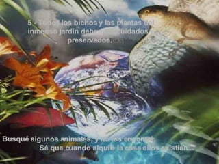 5 - Todos los bichos y las plantas del inmenso jardín deben ser cuidados y preservados.  Busqué algunos animales, y no los encontré.  Sé que cuando alquilé la casa ellos existían...  