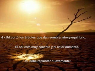 4 - Ud cortó los árboles que dan sombra, aire y equilibrio.   El sol está muy caliente y el calor aumentó.  Ud. debe replantar nuevamente!  