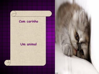 Com carinho Um animal 