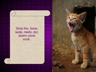 Sinto frio, fome, sede, medo, dor, assim como você.  