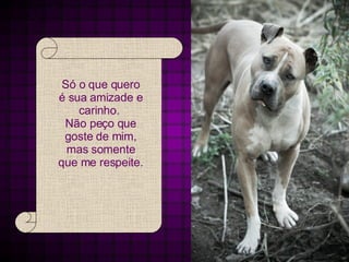 Só o que quero é sua amizade e carinho.  Não peço que goste de mim, mas somente que me respeite.  