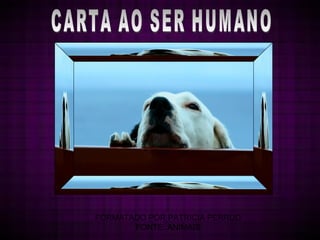 CARTA AO SER HUMANO FORMATADO POR PATRICIA PERRUD FONTE: ANIMAIS 