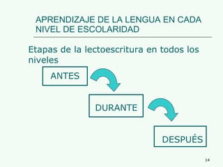 APRENDIZAJE DE LA LENGUA EN CADA NIVEL DE ESCOLARIDAD Etapas de la lectoescritura en todos los niveles ANTES DURANTE DESPUÉS 