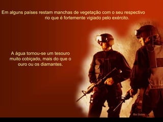 Em alguns países restam manchas de vegetação com o seu respectivo
rio que é fortemente vigiado pelo exército.
A água tornou-se um tesouro
muito cobiçado, mais do que o
ouro ou os diamantes.
 