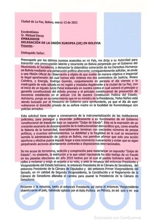 Cartas de Jeanine Añez a la OEA y UE tras su aprehensión