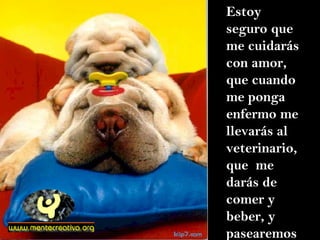 Estoy seguro que me cuidarás con amor, que cuando me ponga enfermo me llevarás al veterinario, que  me darás de comer y beber, y pasearemos 