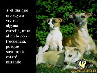 Y el día que me vaya a vivir a alguna estrella, mira al cielo con frecuencia, porque siempre te estaré mirando. 