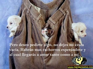 Pero deseo pedirte algo, no dejes mi cesta vacía. Habrán mas cachorros esperándote y al cual llegarás a amar tanto como a mí. 