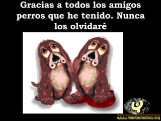 Gracias a todos los amigos perros que he tenido. Nunca los olvidaré 
