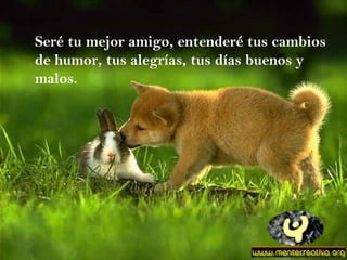 Seré tu mejor amigo, entenderé tus cambios de humor, tus alegrías, tus días buenos y malos. 