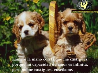Lameré la mano con la que me castigues, porque mi capacidad de amor es infinita, pero no me castigues, enséñame. 