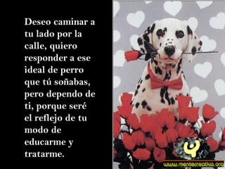 Deseo caminar a tu lado por la calle, quiero responder a ese ideal de perro que tú soñabas, pero dependo de ti, porque seré el reflejo de tu modo de educarme y tratarme. 