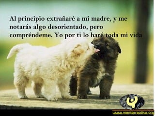 Al principio extrañaré a mi madre, y me notarás algo desorientado, pero compréndeme. Yo por ti lo haré toda mi vida 