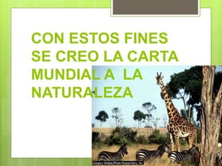 CON ESTOS FINES
SE CREO LA CARTA
MUNDIAL A LA
NATURALEZA
 