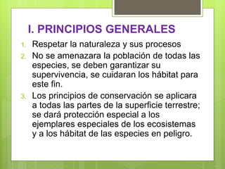 I. PRINCIPIOS GENERALES
1. Respetar la naturaleza y sus procesos
2. No se amenazara la población de todas las
especies, se deben garantizar su
supervivencia, se cuidaran los hábitat para
este fin.
3. Los principios de conservación se aplicara
a todas las partes de la superficie terrestre;
se dará protección especial a los
ejemplares especiales de los ecosistemas
y a los hábitat de las especies en peligro.
 
