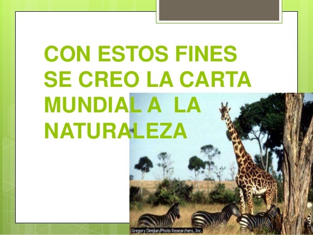 Carta a la naturaleza