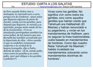 ESTUDIO: CARTA A LOS GALATAS
Por: eliyahuben_ab@yahoo.es / fredynorman@tutopia.com Edicion CJM Colombia
11 Pero cuando Pedro vino a
Antioquía, lo reprendí cara a cara,
porque era de condenar, 12pues antes
que llegaran algunos de parte de
Jacobo, comía con los gentiles; pero
después que llegaron, se retraía y se
apartaba, porque tenía miedo de los
de la circuncisión. 13Y en su
simulación participaban también los
otros judíos, de tal manera que aun
Bernabé fue también arrastrado por
la hipocresía de ellos. 14Pero cuando
vi que no andaban rectamente
conforme a la verdad de la
bezpra/evangelio, dije a Pedro
delante de todos: «Si tú, siendo judío,
vives como los gentiles y no como
judío, ¿por qué obligas a los gentiles
a judaizar?».
Vives como los gentiles: No
significa vivir como todos los
gentiles; sino como aquellos
gentiles que habían creído que
Yahshuah era HaMashiah (El
Mesías) y habían renunciado a
su paganismo, y vivían en los
mandamientos de HaShem, pero
no seguían la línea tradicionalista
Judía basado en mandamientos
de hombres. Como dijo nuestro
Rebe Yahshuah Ha Mashiah: “
habéis invalidado los
mandamientos colocando como
mandamientos doctrinas de
hombres”.
 