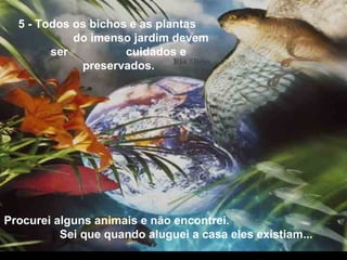 5 - Todos os bichos e as plantas
do imenso jardim devem
ser cuidados e
preservados.
Procurei alguns animais e não encontrei.
Sei que quando aluguei a casa eles existiam...
 