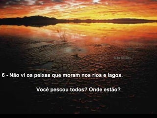 6 - Não vi os peixes que moram nos rios e lagos.
Você pescou todos? Onde estão?
 