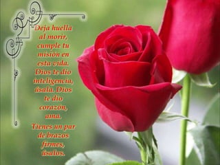 Deja huella al morir, cumple tu misión en esta vida. Dios te dio inteligencia, úsala. Dios te dio corazón, ama. Tienes un par de brazos firmes, úsalos.