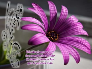 Divide el amor entre tus semejantes dando la mayor parte a los que te quieren mal.