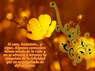 Si caes, levántate... y sigue. Algunos corazones tienen miedo de la vida y no se atreven a intentar la conquista de la felicidad que va acompañada de dificultades. 
