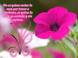 No se quiere cortar la rosa por temor a pincharse, se quiere la rosa ya cortada y sin espinas. 