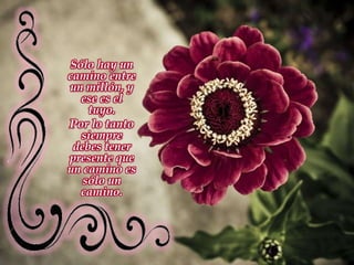 Sólo hay un camino entre un millón, y ese es el tuyo. Por lo tanto siempre debes tener presente que un camino es sólo un camino. 