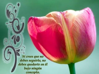 Si crees que no debes seguirlo, no debes quedarte en él bajo ningún concepto. 