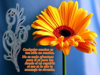 Cualquier camino es tan sólo un camino. No es nada afrentoso para ti ni para los demás el no seguirlo si eso es lo que te aconseja tu corazón.