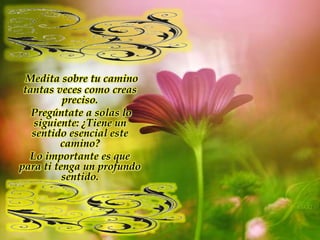 Medita sobre tu camino tantas veces como creas preciso. Pregúntate a solas lo siguiente: ¿Tiene un sentido esencial este camino? Lo importante es que para ti tenga un profundo sentido.