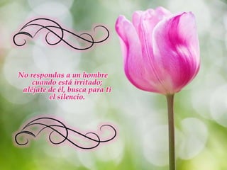 No respondas a un hombre cuando está irritado; aléjate de él, busca para ti el silencio. 