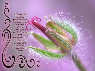 Aléjate del hombre pendenciero no dejes que se adueñe de tu corazón y no lo tomes por compañero. Hazte amiga del hombre recto y justo.