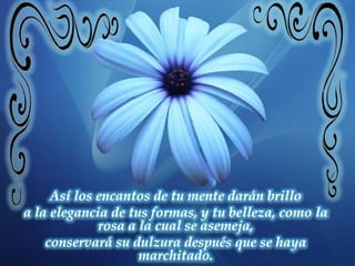 Así los encantos de tu mente darán brilloa la elegancia de tus formas, y tu belleza, como la rosa a la cual se asemeja, conservará su dulzura después que se haya marchitado.