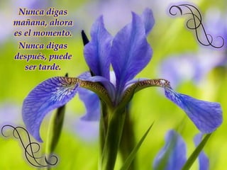 Nunca digas mañana, ahora es el momento. Nunca digas después, puede ser tarde.