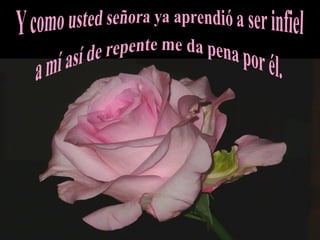 Carta a usted,celina