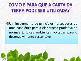 Um instrumento de princípios norteadores de
uma base ética para a elaboração gradativa de
normas jurídicas ambientais voltadas para o
desenvolvimento sustentável.
 