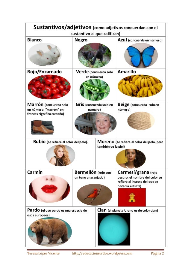 Carta de colores