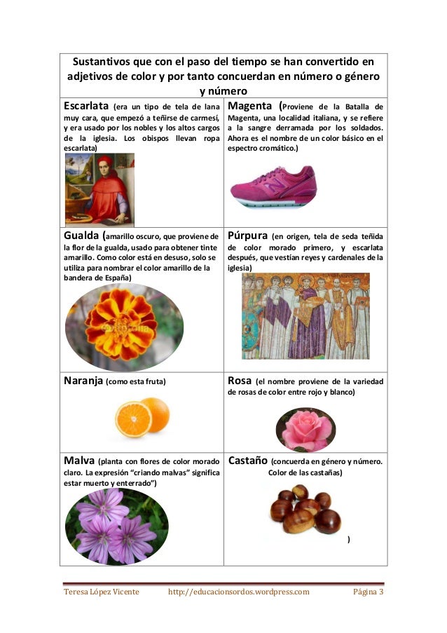 Carta de colores