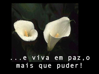 ...e viva em paz,o mais que puder! 
