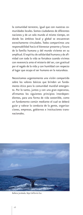 la comunidad terrestre, igual que con nuestras co-
munidades locales. Somos ciudadanos de diferentes
naciones y de un solo mundo al mismo tiempo, en
donde los ámbitos local y global se encuentran
estrechamente vinculados. Todos compartimos una
responsabilidad hacia el bienestar presente y futuro
de la familia humana y del mundo viviente en su
amplitud. El espíritu de solidaridad humana y de afi-
nidad con toda la vida se fortalece cuando vivimos
con reverencia ante el misterio del ser, con gratitud
por el regalo de la vida y con humildad con respecto
al lugar que ocupa el ser humano en la naturaleza.

Necesitamos urgentemente una visión compartida
sobre los valores básicos que brinden un funda-
mento ético para la comunidad mundial emergen-
te. Por lo tanto, juntos y con una gran esperanza,
afirmamos los siguientes principios interdepen-
dientes, para una forma de vida sostenible, como
un fundamento común mediante el cual se deberá
guiar y valorar la conducta de la gente, organiza-
ciones, empresas, gobiernos e instituciones trans-
nacionales.




Ballena jorobada, Baja California Sur.




  16
 