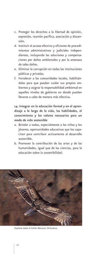 c. Proteger los derechos a la libertad de opinión,
   expresión, reunión pacífica, asociación y discen-
   sión.
d. Instituir el acceso efectivo y eficiente de procedi-
   mientos administrativos y judiciales indepen-
   dientes, incluyendo las soluciones y compensa-
   ciones por daños ambientales y por la amenaza
   de tales daños.
e. Eliminar la corrupción en todas las instituciones
   públicas y privadas.
f. Fortalecer a las comunidades locales, habilitán-
   dolas para que puedan cuidar sus propios am-
   bientes y asignar la responsabilidad ambiental en
   aquellos niveles de gobierno en donde puedan
   llevarse a cabo de manera más efectiva.

14. Integrar en la educación formal y en el apren-
dizaje a lo largo de la vida, las habilidades, el
conocimiento y los valores necesarios para un
modo de vida sostenible
a. Brindar a todos, especialmente a los niños y los
   jóvenes, oportunidades educativas que los capa-
   citen para contribuir activamente al desarrollo
   sostenible.
b. Promover la contribución de las artes y de las
   humanidades, igual que de las ciencias, para la
   educación sobre la sostenibilidad.




Zopilote sobre el Cañón Mariscal, Chihuahua.




 26
 
