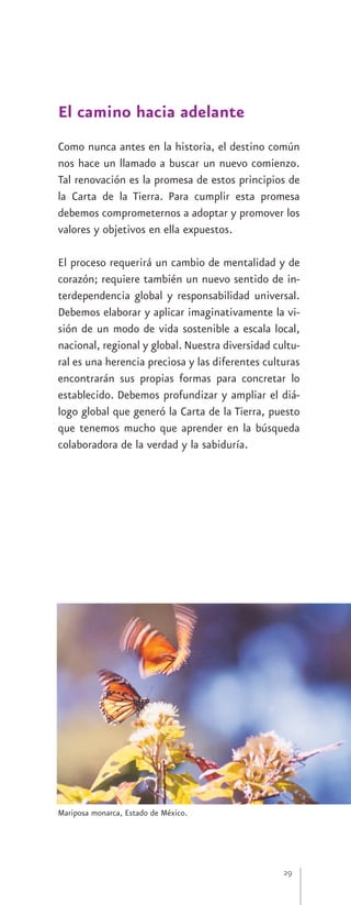 El camino hacia adelante
Como nunca antes en la historia, el destino común
nos hace un llamado a buscar un nuevo comienzo.
Tal renovación es la promesa de estos principios de
la Carta de la Tierra. Para cumplir esta promesa
debemos comprometernos a adoptar y promover los
valores y objetivos en ella expuestos.

El proceso requerirá un cambio de mentalidad y de
corazón; requiere también un nuevo sentido de in-
terdependencia global y responsabilidad universal.
Debemos elaborar y aplicar imaginativamente la vi-
sión de un modo de vida sostenible a escala local,
nacional, regional y global. Nuestra diversidad cultu-
ral es una herencia preciosa y las diferentes culturas
encontrarán sus propias formas para concretar lo
establecido. Debemos profundizar y ampliar el diá-
logo global que generó la Carta de la Tierra, puesto
que tenemos mucho que aprender en la búsqueda
colaboradora de la verdad y la sabiduría.




Mariposa monarca, Estado de México.




                                                  29
 